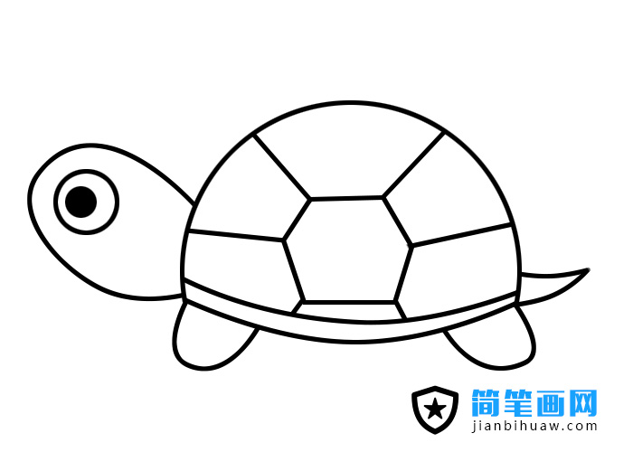 �������P���DƬ����ɫ�DƬ