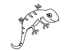 小壁虎簡筆畫圖片