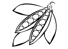 ���v���P���DƬ����ɫ