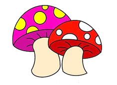 ��ɫ��Ģ�����P���DƬ����ɫ