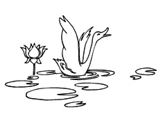 ˮ�еĴ��Z���P���DƬ