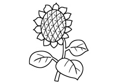 ��ͯ��(ji��n)�P�����տ��DƬ