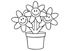 �������С�����P���DƬ