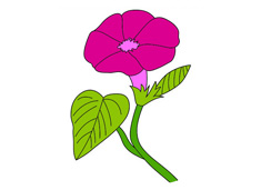 ���������P������ɫ�DƬ