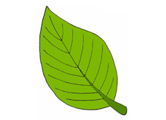 �G�~��(ji��n)�P���DƬ����ɫ