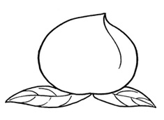 һֻ����Һ�(ji��n)�P��(hu��)�DƬ