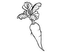 ���}����(ji��n)�P��(hu��)�DƬ