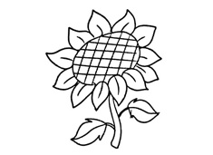 �ÿ������տ����P���DƬ