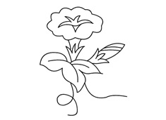 ���Ȼ���(ji��n)�P���DƬ