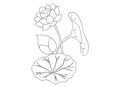 �ɻ���(ji��n)�P��(hu��)�DƬ����ɫ