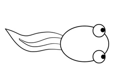 С��򽺆�P���DƬ����ɫ