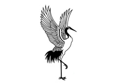 ���_(k��i)���ĵ���Q��(ji��n)�P��(hu��)�DƬ