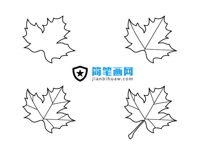 楓葉簡(jiǎn)筆畫(huà)圖片含分解步驟
