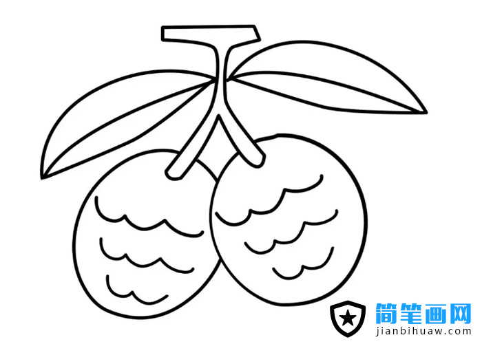 好吃的荔枝簡(jiǎn)筆畫圖片