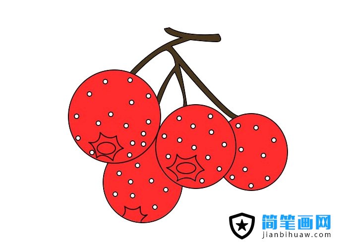 山楂簡筆畫圖片上色