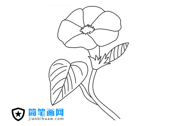 ���������P������ɫ�DƬ