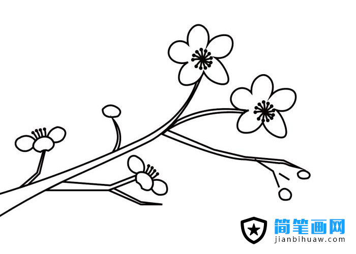 ÷��֦�~���P���DƬ����ɫ