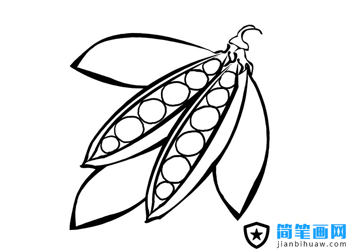 ���v���P���DƬ