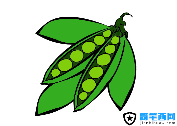 ���v���P���DƬ