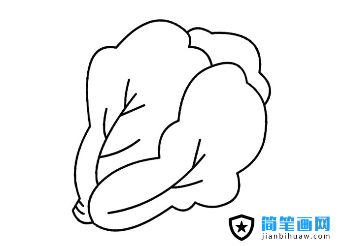 簡(jiǎn)單的大白菜簡(jiǎn)筆畫圖片