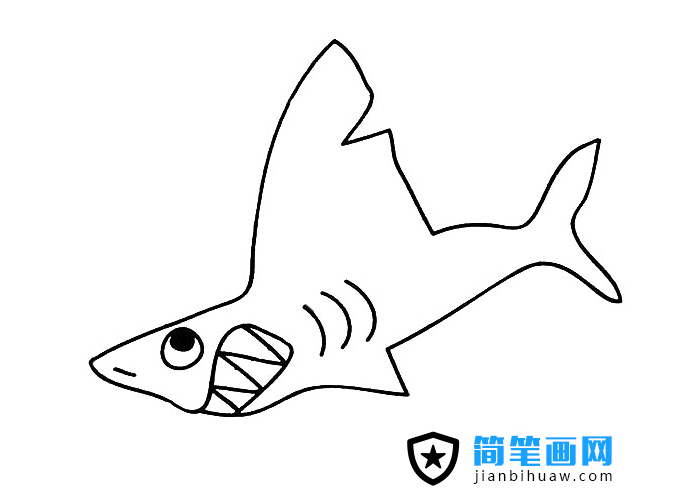 鯊魚簡筆畫圖片