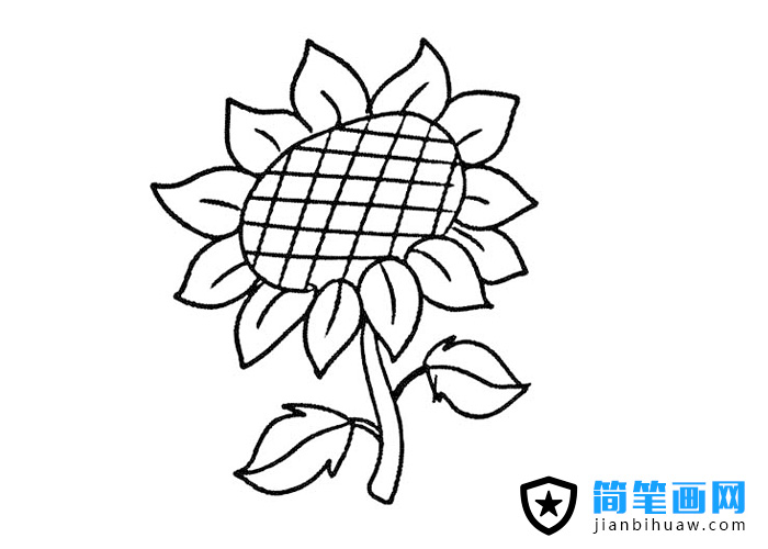 �ÿ������տ���(ji��n)�P���DƬ