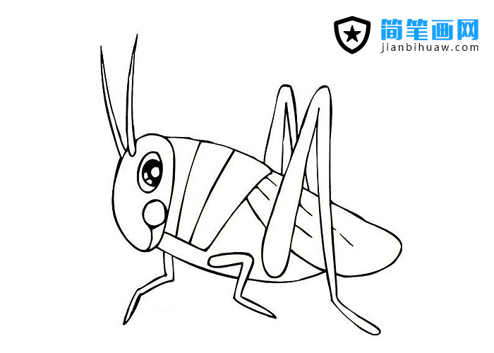 兒童蟈蟈簡筆畫圖片