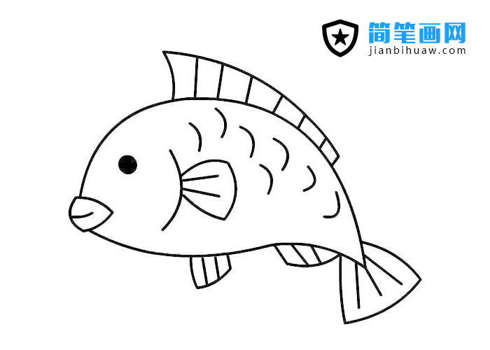 可愛(ài)的小鯉魚(yú)簡(jiǎn)筆畫(huà)圖片