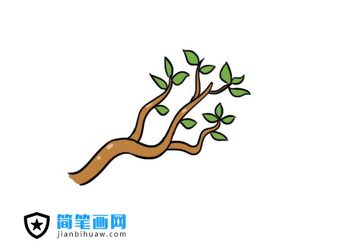 ���κî��Ę�֦���P���DƬ����ɫ