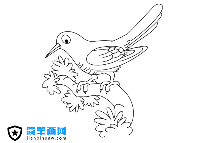 一只站在樹(shù)枝上的布谷鳥(niǎo)簡(jiǎn)筆畫(huà)圖片